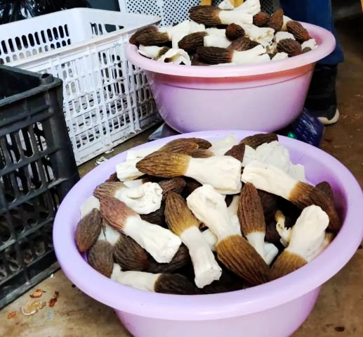 微信截图_20220420091844.jpg