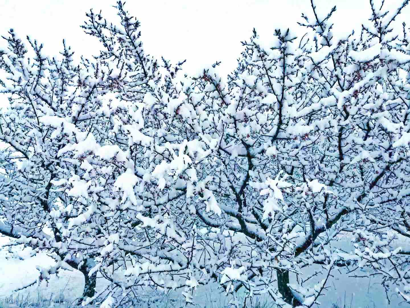 微信图片_20220427160500.jpg