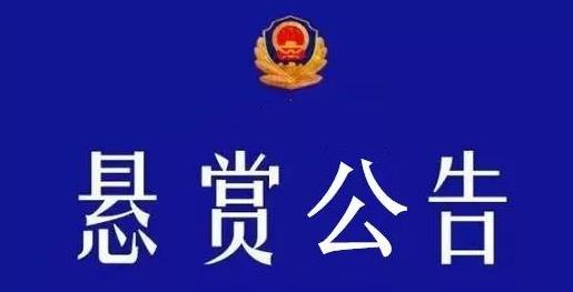 涿鹿县人民法院悬赏执行公告